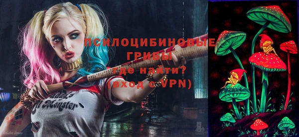 дмт Алексеевка