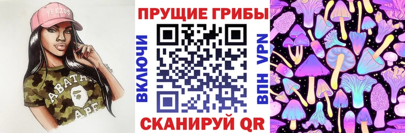 shop состав  Люберцы  Галлюциногенные грибы MAGIC MUSHROOMS 